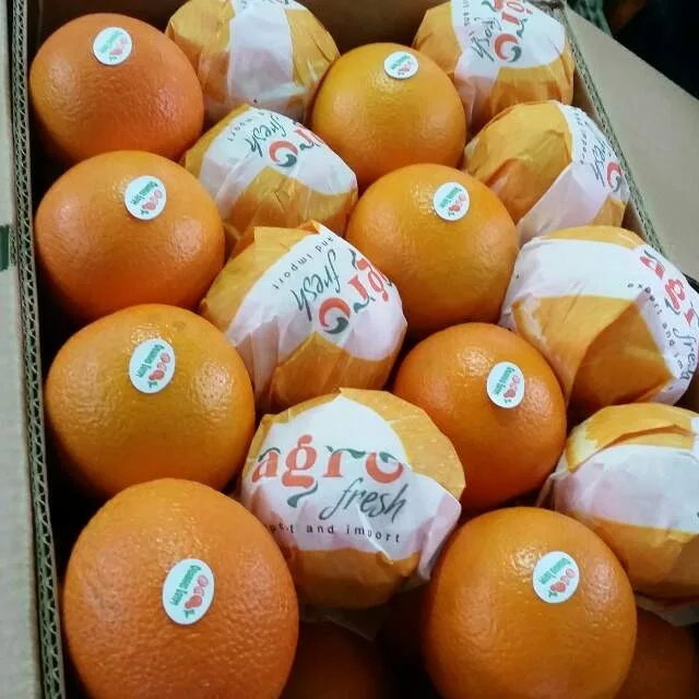 Fresh Egyptian Orange