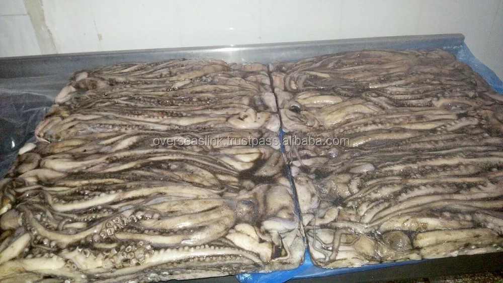 
Hot Selling High Quality frozen iqf octopus flower from Morocco 