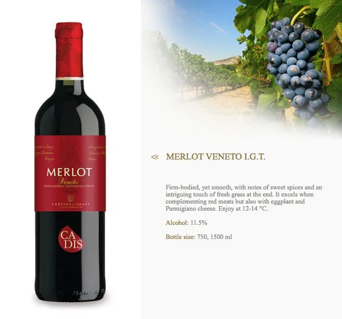 merlot wine