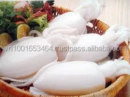 
BEST PRICE FROZEN WHOLE CLEANED CUTTLEFISH IN VIET NAM 
