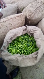 vegetables in India