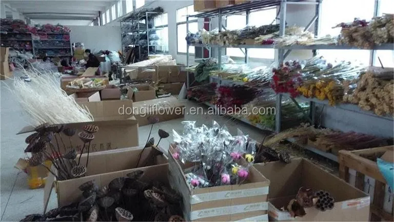 dried flower factory