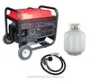 LPG digital inverter generator 7000W deluxe