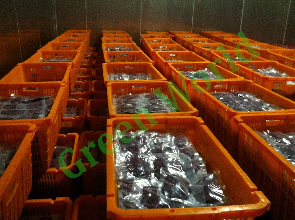 Dried Pitaya/ Dried Dragon Fruit Premium Quality The Most