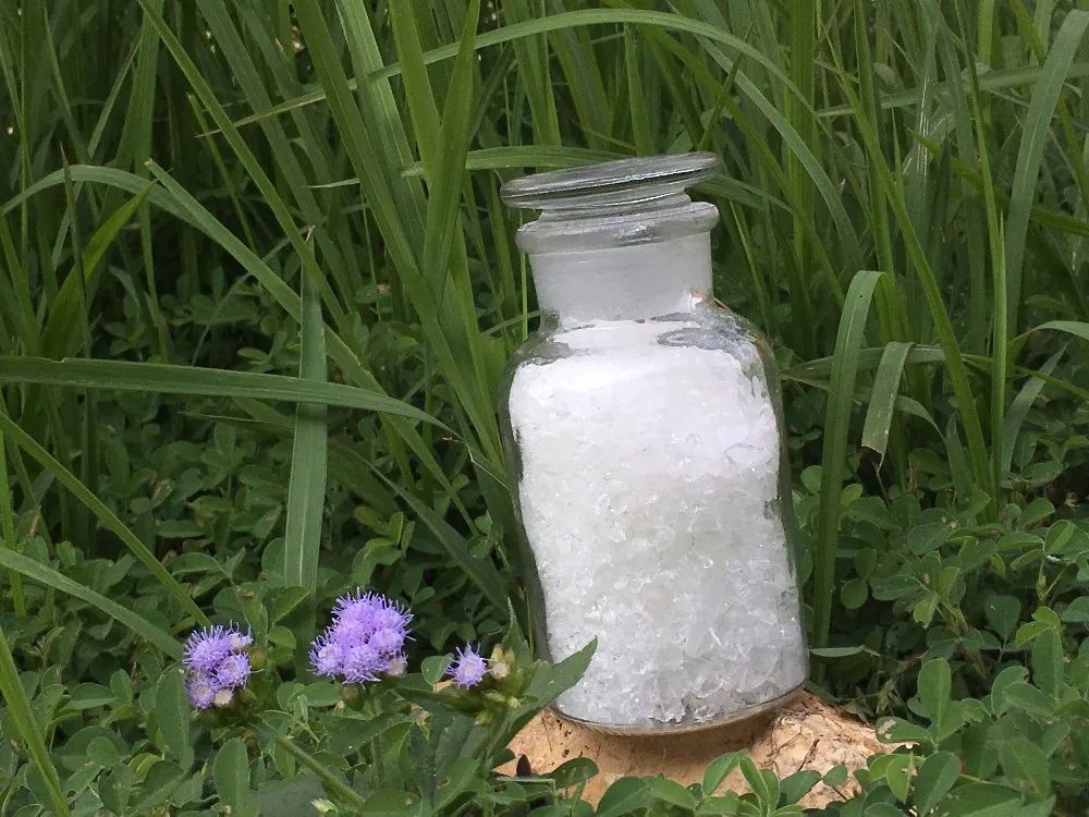 POLYESTER RESIN (22).JPG