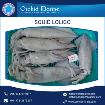 machine packaging kerala Processed Squid Machine Loligo For Cleaned Hygienically