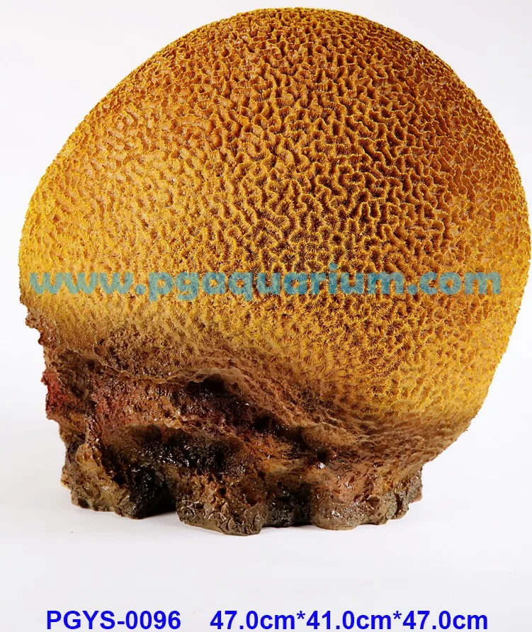 PGYS-0096
