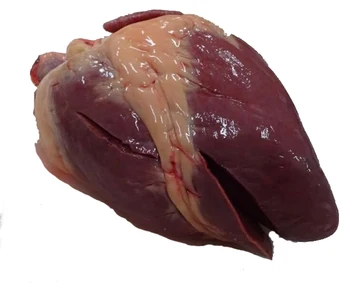 mongolian beef and horse raw offal/organs