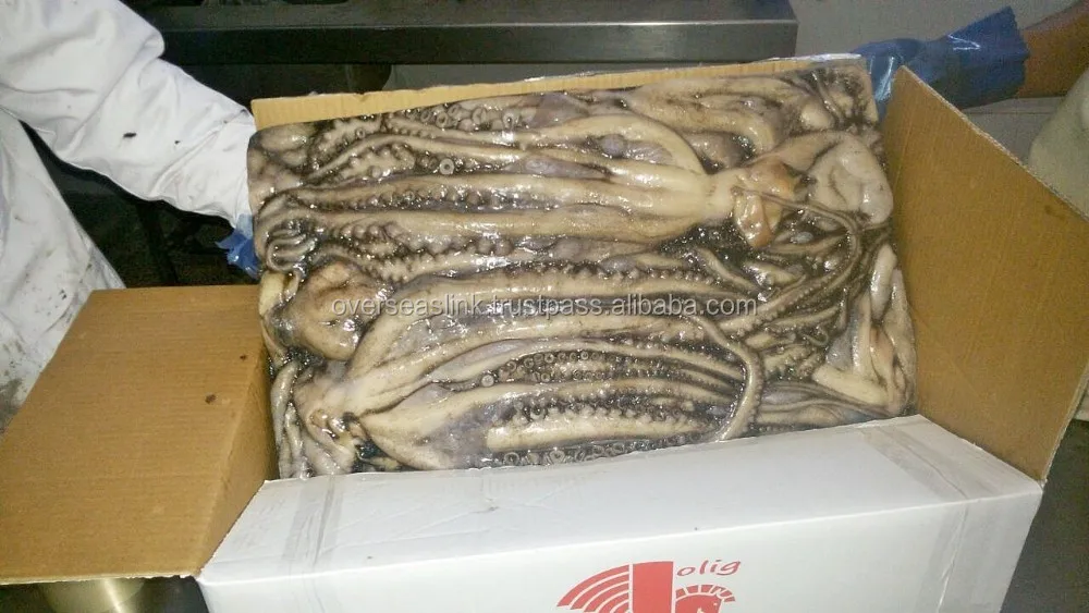 
Hot Selling High Quality frozen iqf octopus flower from Morocco 