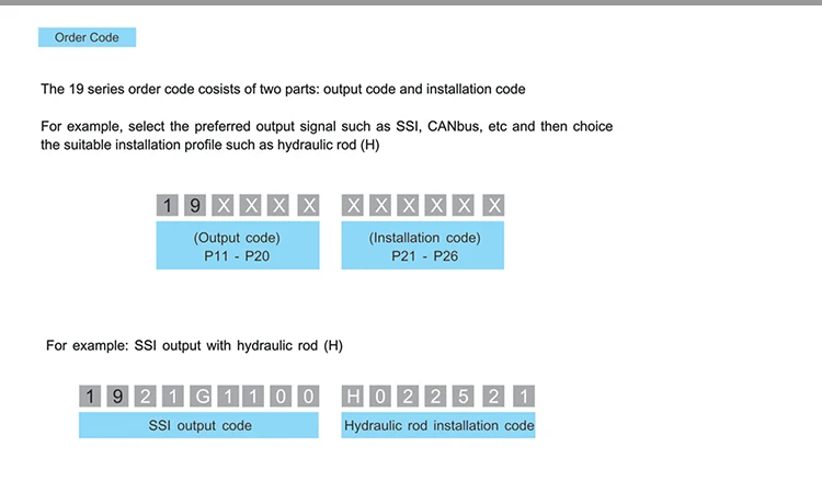 order code instrustion.jpg