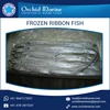 Preservative and Chemicals Free Juicy Frozen Ribbon Fish at Bulk Price