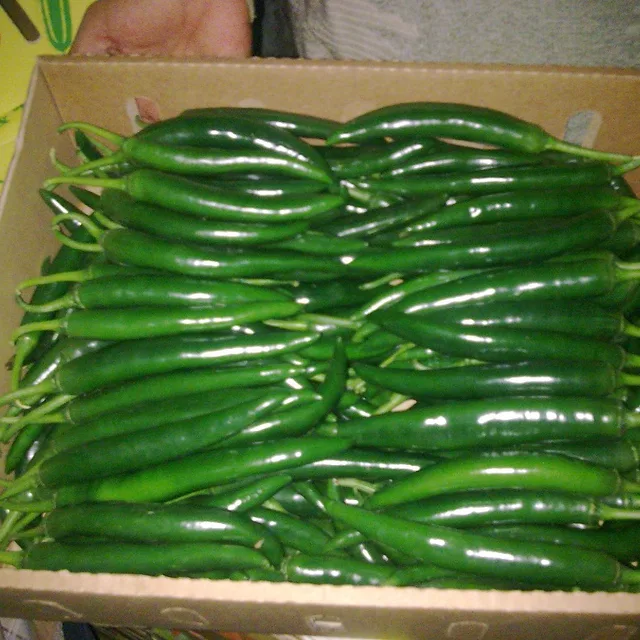 raw green chillies