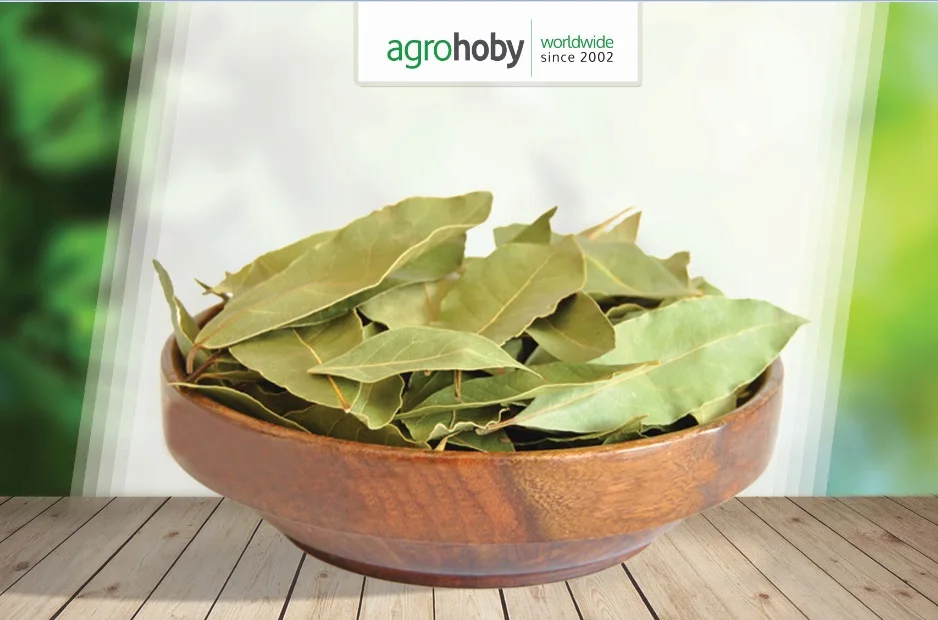 best hand selected laurel bay leaf price