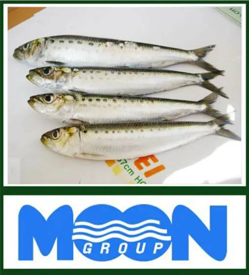 1404445117125_us-fileserver-upload-01_1343954