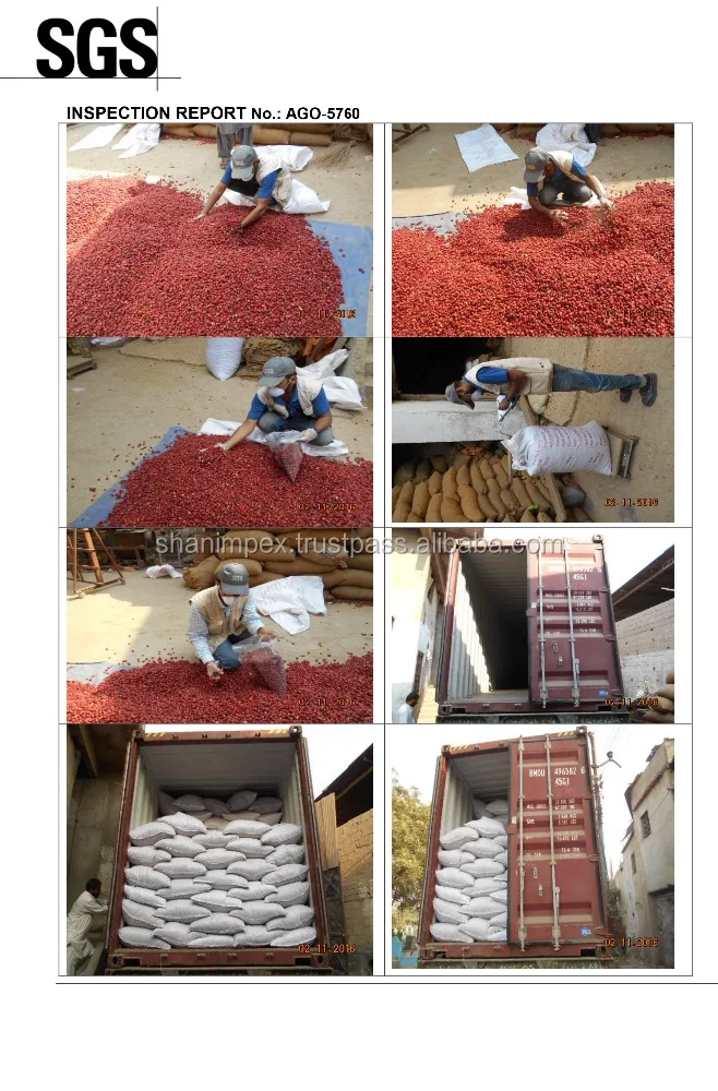 
Red Chili Dundicut Whole Round Stemless 