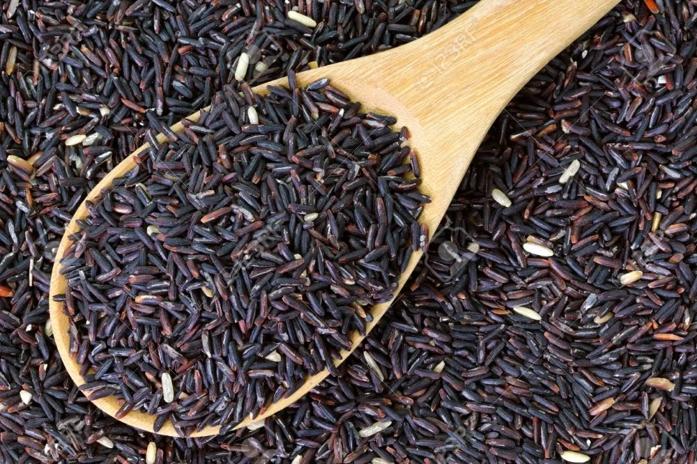 Organic Thai Jasmine Black Current Rice (usda/ifoam/jas) Buy Thai