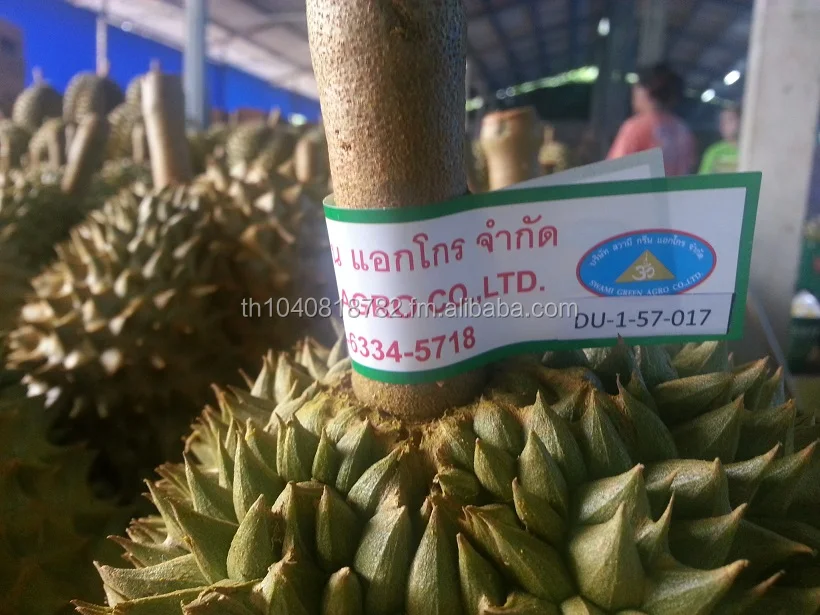 
Premuim Fresh Durian from Thailand 