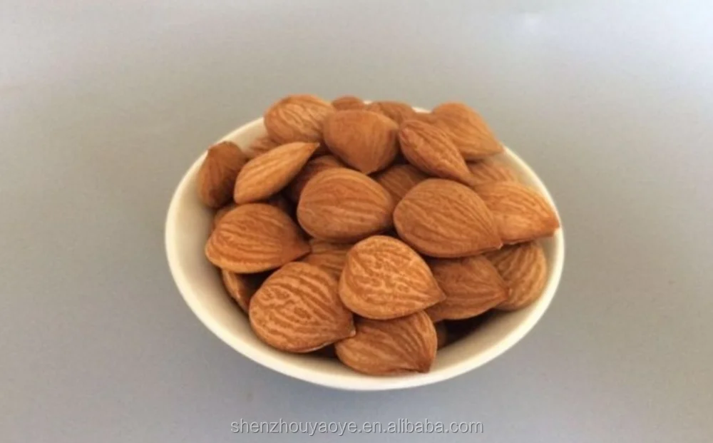 Chengde Chinese Bitter Apricot Kernels/dried Apricot Kernels Buy