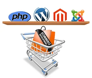 ecommerce development.png