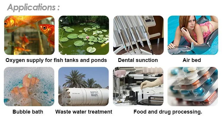 Linear Air Pumps Applications