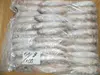 Frozen Croaker fish (yellow croaker , silver croaker tiger tooth)