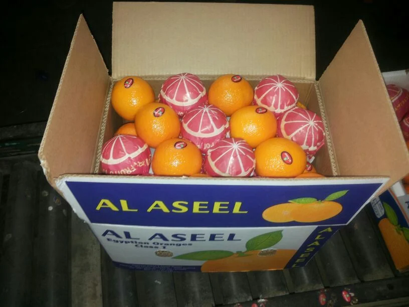 Get All Name All Citrus Fruits Orange Fresh Orange List Of Yellow Free Get Wallpaper All Name All Citrus Fruits Orange Fresh Orange List Of Yellow For Android Free