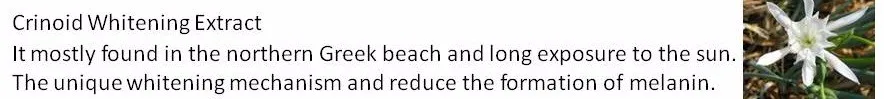 Crinoid Whitening Extract It mostly found in the northern Greek beach and long exposure to the sun. The unique whitening mechanism and reduce the formation of melanin.jpg