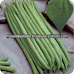 
KOMAL Yard Long Beans Seeds 