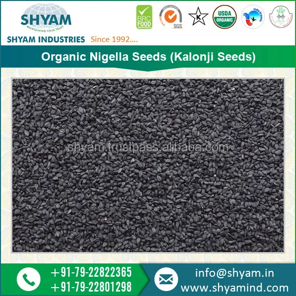 High Grade Organic Kalonji Seed (Nigella Seed) for Mass Purchase