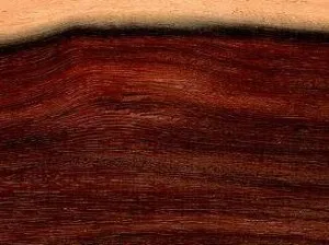 logs lumber ideal exotic larger
