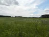 Land plots for comprehensive residential development in Ukraine