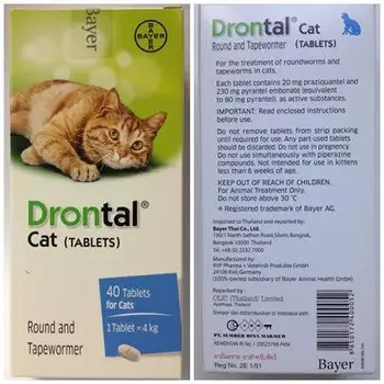 drontal cat bayer