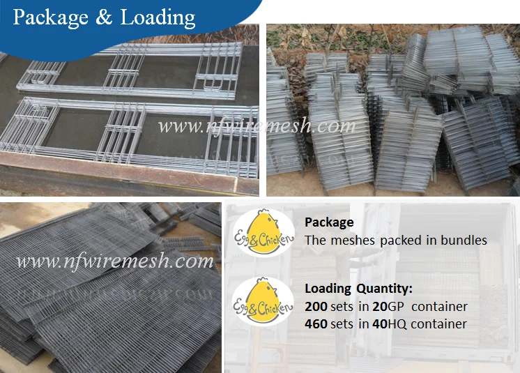 H Type Quail Cage/ Layer Cage Bird Quail Cage And Water System