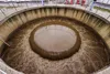 Concentrated formulation of beneficial bacteria for maximum power saving in ETP / WWTP