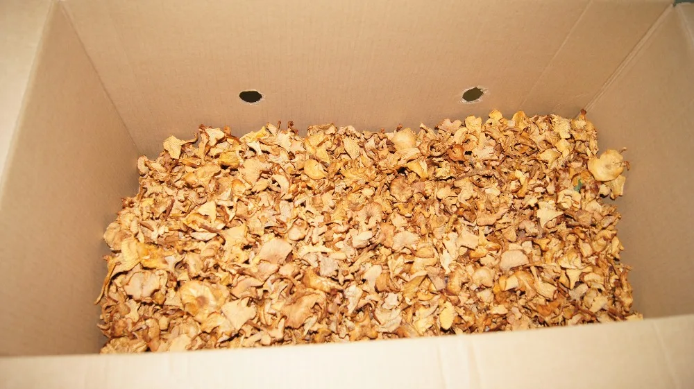 
Dried Chanterelle Mushroom, high quality wild-growing, supplements, anti-cancer, natural,edible raw material 