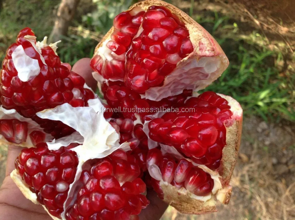 
Fresh Red/Sweet pomegranate/ pomegranate wonderful /fresh fruit of pomogranate HOT SALES 