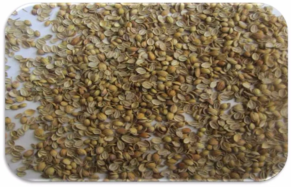 Coriander-Seeds-Splits-Eagle-Quality.jpg