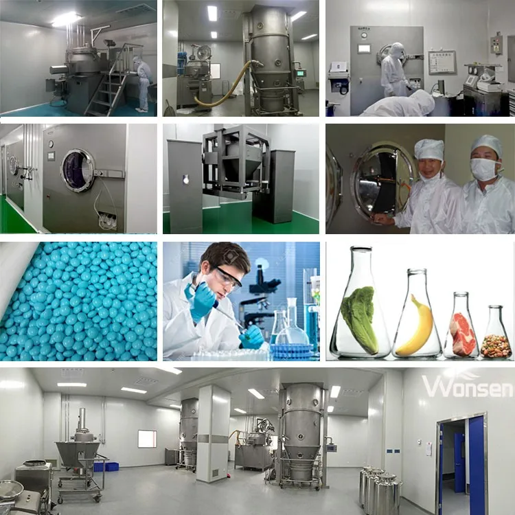 High Shear Mixer