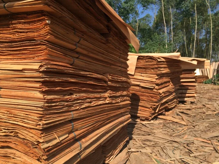 
Natural Figured Dried Excellent Eucalyptus Core Veneer for Furniture 