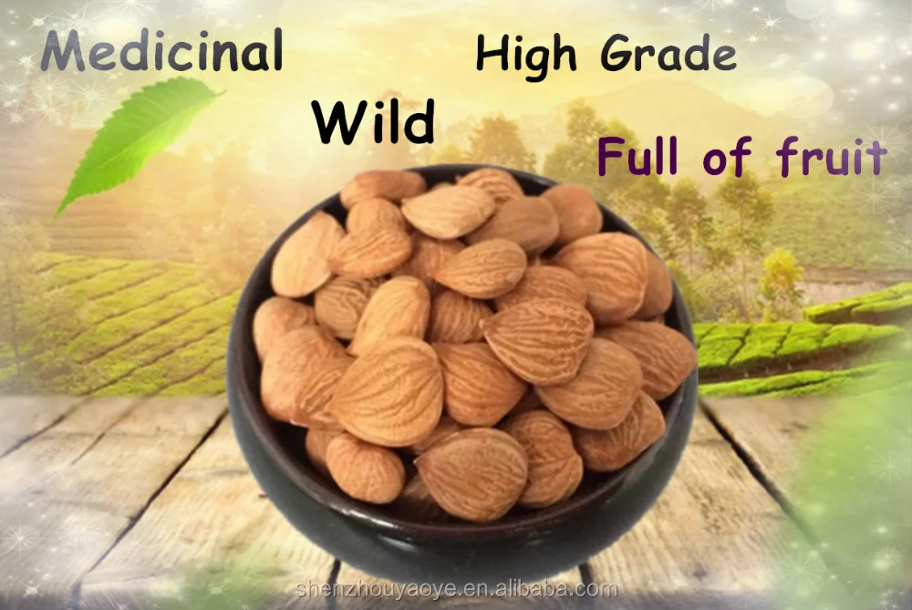 Chengde Chinese Bitter Apricot Kernels/dried Apricot Kernels Buy