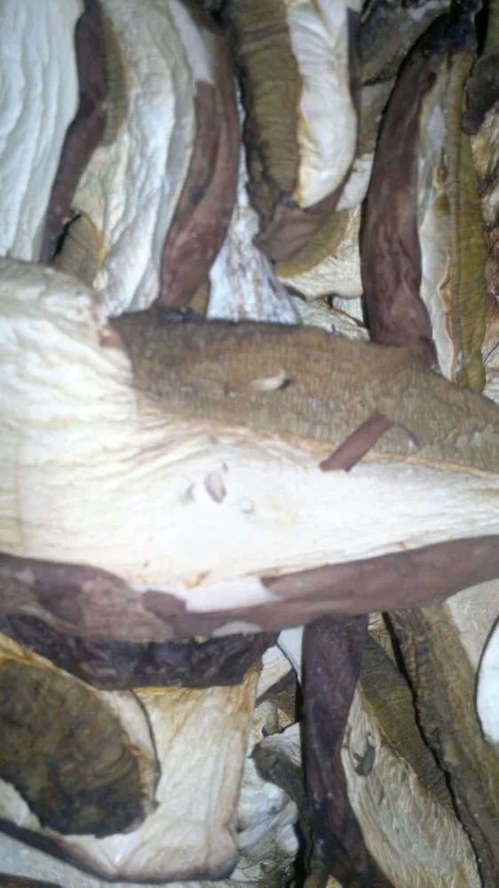 
Dried Boletus Edulis, porcini mushrooms, edible raw material, ingredients for medicine, spices, supplements, flavourings 