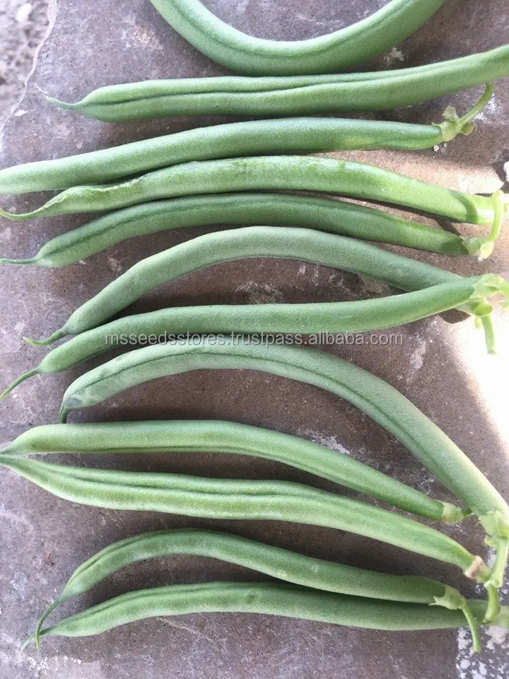
KOMAL Yard Long Beans Seeds 