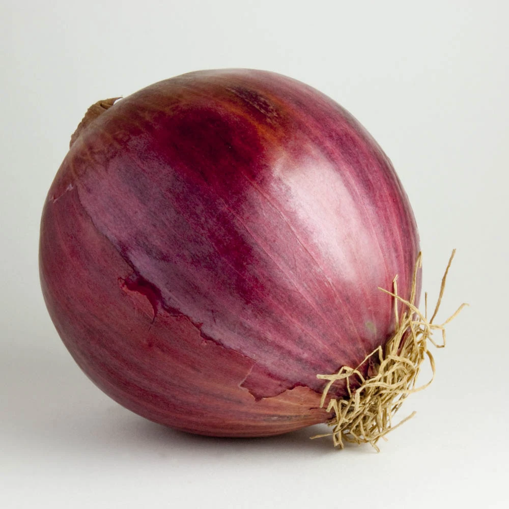 gvenet chan tor onion gvenet chan tor onion
