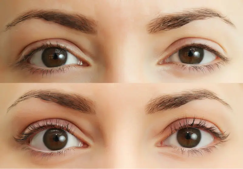 Sexy Lashes Lash Lift- Eyelash Perm Kit - Buy Eyelash Perm