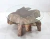 TEAK ROOT COFFEE TABLE