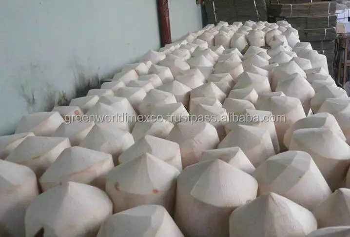 PHI DA TRC KHI ÓNG THÙNG.jpg