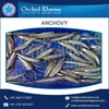 Bulk Distributors of Dried Crispy Anchovy for Dog Food at Low Market Price