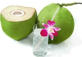 Fresh Young Coconuts