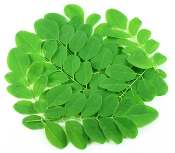 Comprar Folhas De Moringa Em Po Capsulas Da Melhor Buy Po De