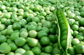 Dry and Fresh Green Peas